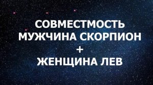 Совместимость мужчины Скорпиона и женщины Льва