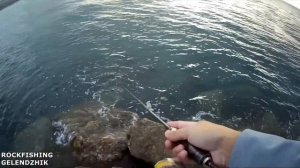 Утренний Ласкирь. "Морской карась" в Геленджике.