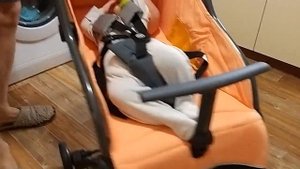 Обзор детской коляски Happy Baby Umma Pro Coral