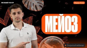 Мейоз | ОГЭ по биологии | Федор Агеев