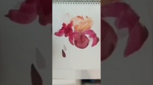 акварель рисования творчество живопись цветы???????