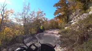 Противоударная Honda CBF 600 SA