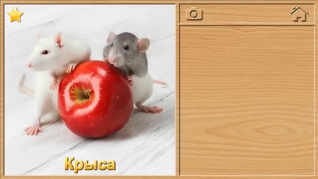 Animal Puzzles for Kids. Звуки животных - Детские пазлы.