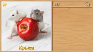 Animal Puzzles for Kids. Звуки животных - Детские пазлы.