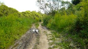 Около Свято-Троицкого Собора (Вязьма) 8