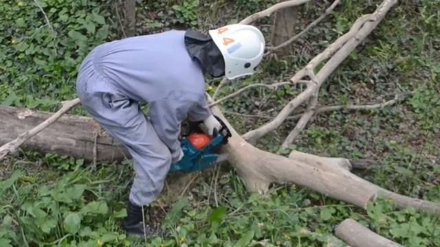 Сотрудники МЧС провели экологическую акцию «Чистый берег»