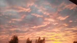 Моя любимая песня ♥️