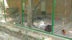 Море Таджикистана/Кайраккумское водохранилище