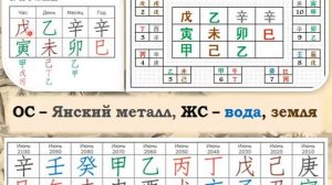 Ба Цзы. Какое направление деятельности выбрать?