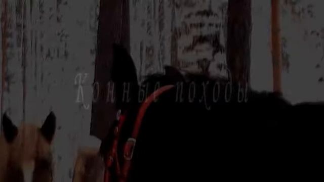 Конно-туристический клуб "Серебряное копытце" смотреть онлайн