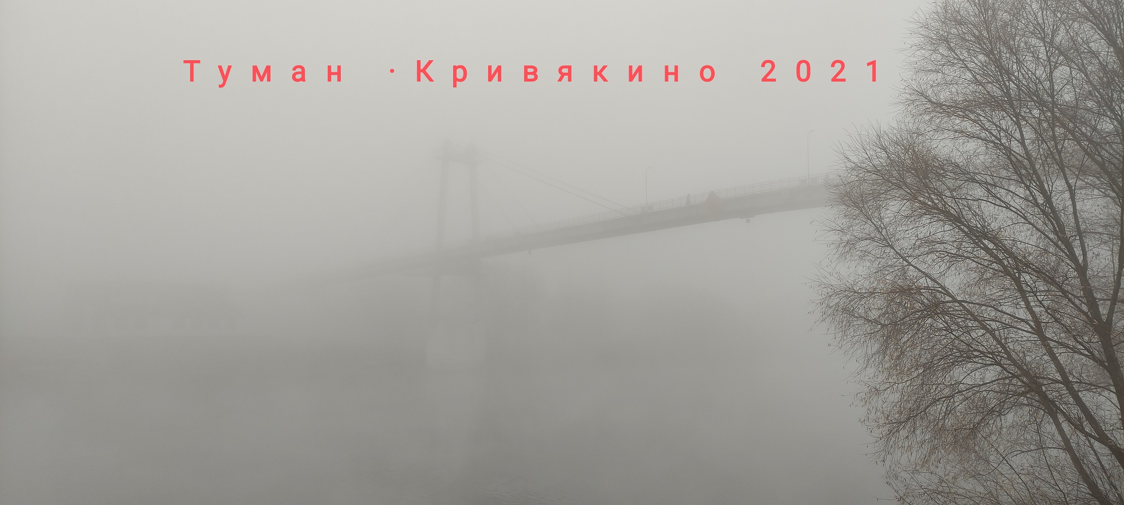 Включи 2 тумана