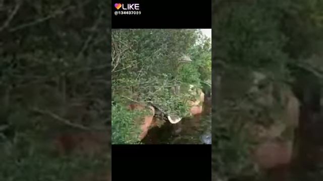 Заброшенные парки.Картинки. смотреть онлайн