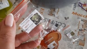 Сею семена растений для весны23. которые делают сад индивидуальным и нескучным. Что посеять в январе