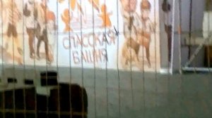 "Спасская башня" детям и взрослым