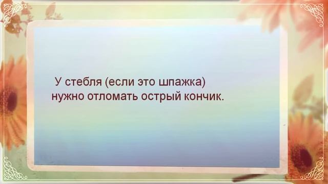 Как сделать букет из тюльпанов смотреть онлайн