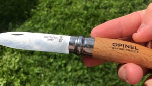 Как выбрать нож для сбора грибов