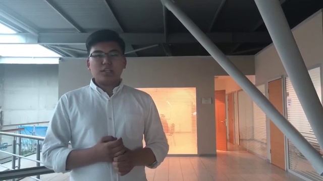 ВЕТВИ ВЛАСТИ В США | СИСТЕМА СДЕРЖЕК И ПРОТИВОВЕСОВ смотреть онлайн