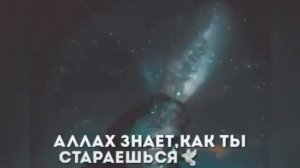 Аллах знает