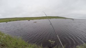 Рыбалка на Кольском. Ловля крупного хариуса