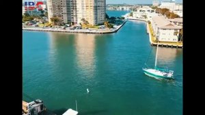 Что такое социальная адаптация ?