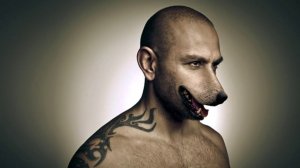 5 ВИДОВ СУЩЕСТВ, КОТОРЫЕ МОГУТ УНАСЛЕДОВАТЬ ЗЕМЛЮ ПОСЛЕ ЛЮДЕЙ. ЧАСТЬ 2