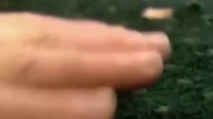 Ковролин на лестнице. Мягкий, монтируется просто, выглядит идеально, но опасен для здоровья