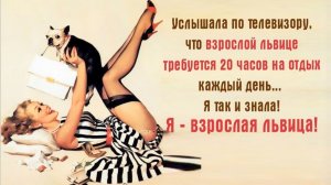 МОРАЛЬНАЯ УСТАЛОСТЬ. Почему Возникает и как ИЗБАВИТЬСЯ