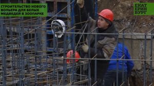 Строительство нового вольера для белых медведей в зоопарке