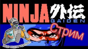 Ninja Gaiden 8Bit.