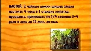 Хмель. Целебные растения и их применение (Бабурин).