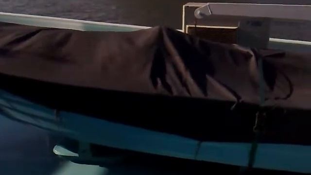 Feronia in Rotterdam смотреть онлайн