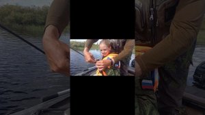 Большое семейное путешествие.