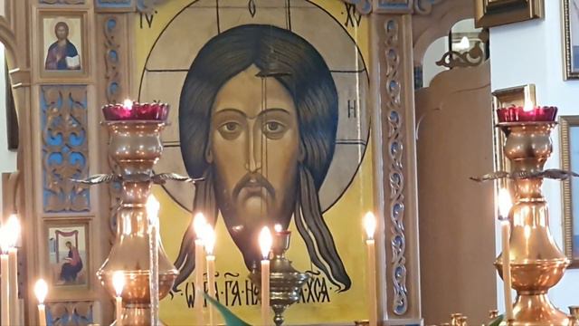 Литургия и  Молебен на освящение мёда.Проповедь о.Никиты.