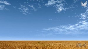 ♫ Для души... Эрнесто Кортазар - Playful Wind... Ernesto Cortazar - Playful Wind.