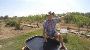 Сколько стоит квок Юрия Философа. Тест набора для Алексея половода. Часть вторая. 2021 г.