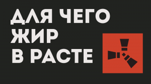 ДЛЯ ЧЕГО ЖИР В РАСТЕ