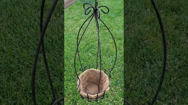 Planting more Supertunia Vista Bubblegum - Proven Winners #supertunia #dogvideos #dogtraining #fyp смотреть онлайн