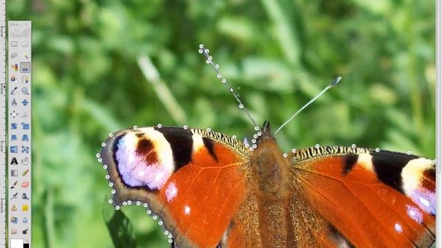 Как сделать белый фон в GIMP смотреть онлайн