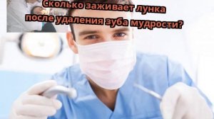 Сколько заживает лунка после удаления зуба мудрости?