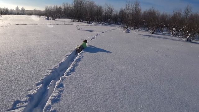 С РУССКОЙ ГОНЧЕЙ.19 ЯНВАРЯ.2021-2022. смотреть онлайн