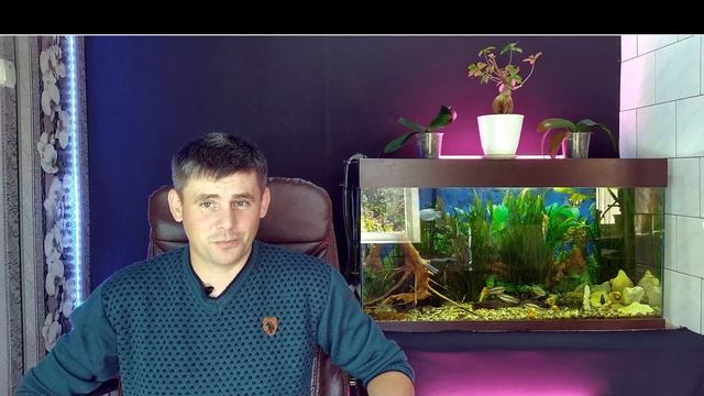 "Отдам бесплатно" НЕ делайте так!//"Благотворительность" Мой негативный опыт // Пост на Пикабу смотреть онлайн