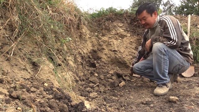 Лопата против перфоратора и кирки при копке плотного грунта смотреть онлайн