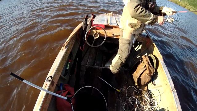 УЛЁТНАЯ РЫБАЛКА С ПРОХОРОМ! ЛОВИМ ВЕРХОГЛЯДА НА БЛЕСНА Cargo. СХОДЫ, УДАРЫ И ТРОФЕИ смотреть онлайн