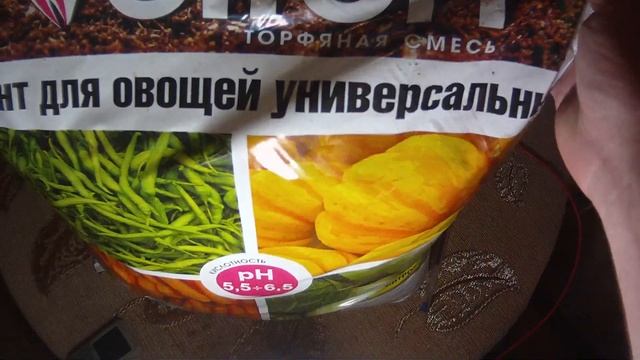 Рассада на поролоне, всходы, подготовка грунта смотреть онлайн