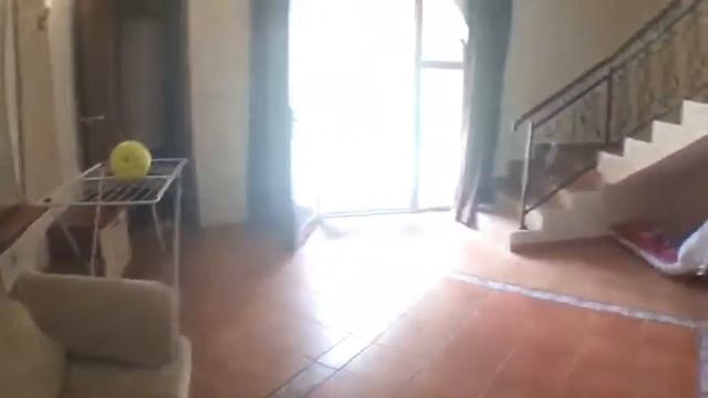 Таунхаус с 2 спальнями в комплексе "Villa Romana". к.к.Еленити. Болгария.