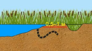 Естественная фильтрация воды