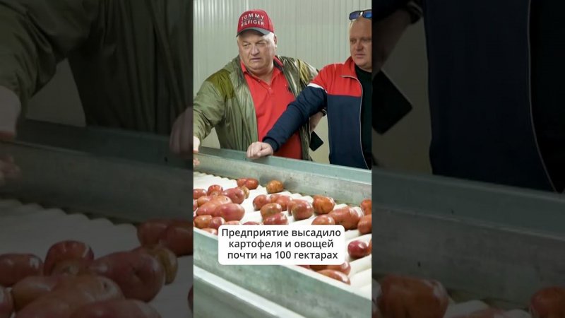Высадили картофель и овощи. На Сахалине завершается большая посевная  #сахалин #посевная