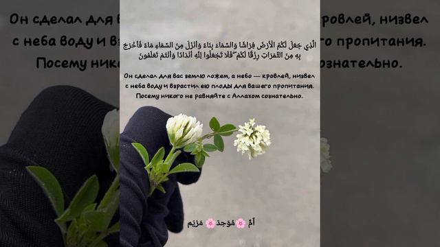 Аль бакара #islam #аллах #islam #layk_bosib #video #исламскаяинформация #коран #куран #куран #karan