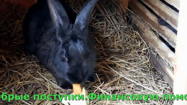 Добро = 24000.ru = Деньги смотреть онлайн