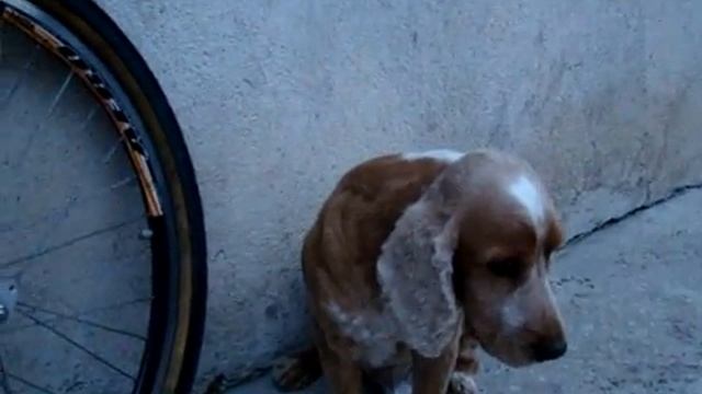 Teste смотреть онлайн